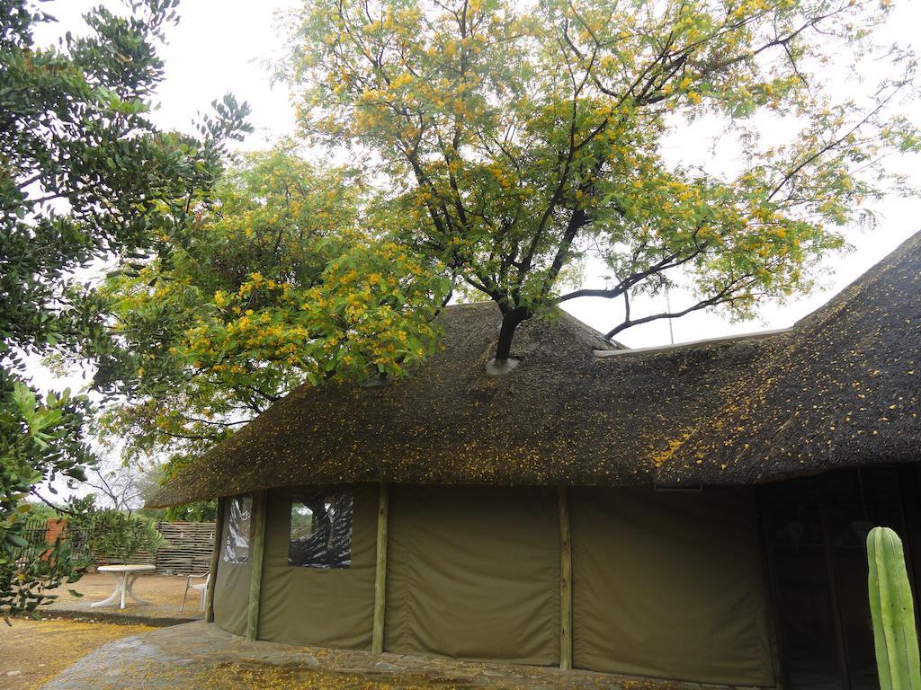Airport Lodge Voigtland Bagian luar foto