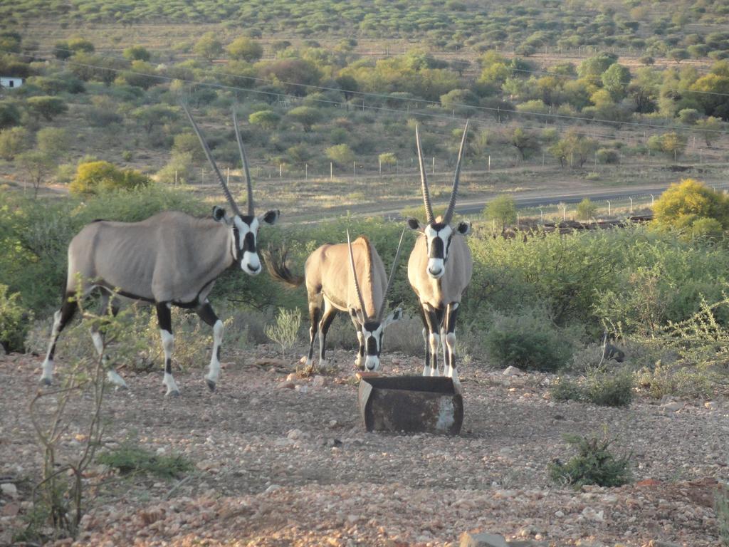 Airport Lodge Voigtland Bagian luar foto